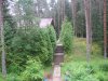 IMG_0231 (Small).jpg