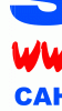clubflag1.gif