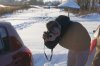 DSC00071.jpg