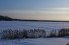 DSC00114.jpg