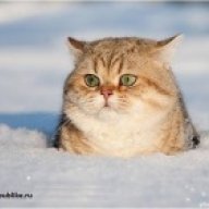 Иван Чунай