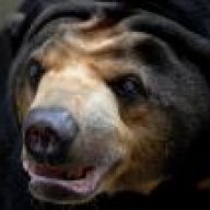 Димон СПБ