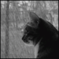 AG7