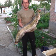 Василий Звягин
