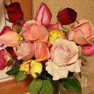 GMalina72