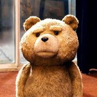 bear-163