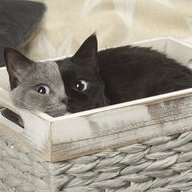 Максим.Вагон.