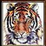 Peter Tiger