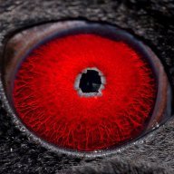 RedEye