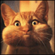 Hunter[SDP]