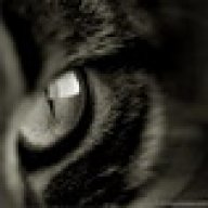 Kat