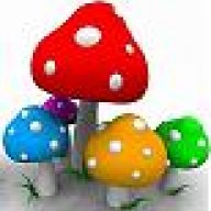 Fly Agaric