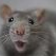 Rata