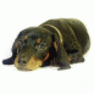 Танюшкин