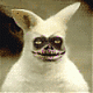 Tomik