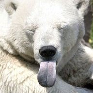 yuroll