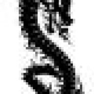 Vibort