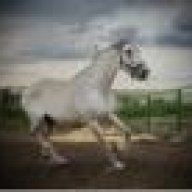 whitevit