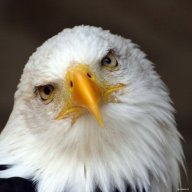 вадимыч020