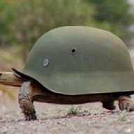 lizardkz