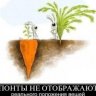 Сергей Плешаков