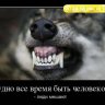 stalker-slash