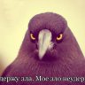 woisiom