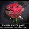 Валерий Щугорев