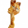 jokker