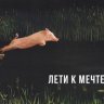 Николай Харлампьев