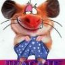 BigFox