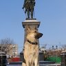т. Дусин