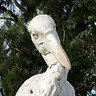 kormoran