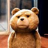 bear-163