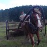 Олег Алтай