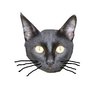 Arsentiy