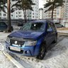 Ангарский волк