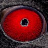 RedEye