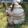Serguei