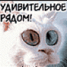 Natasha_97