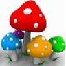 Fly Agaric