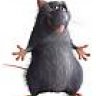 Ruus