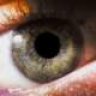 Looking