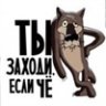 Котяра