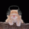 Nikoll