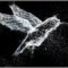 Colibri