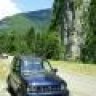 Larix