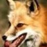 Foxx
