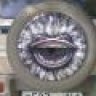 carcass
