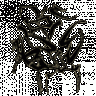 Satangel